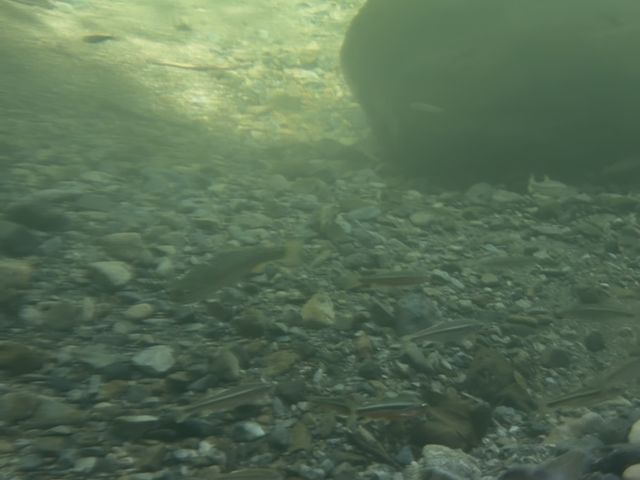 �k��쉶���܂��ޏ�