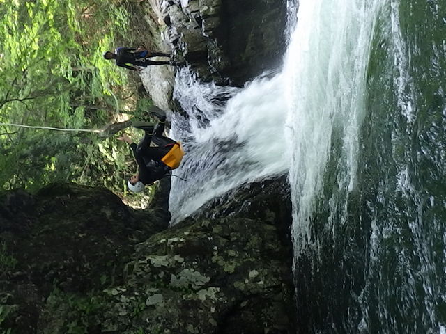 �t�B�[���h�A�[�X����