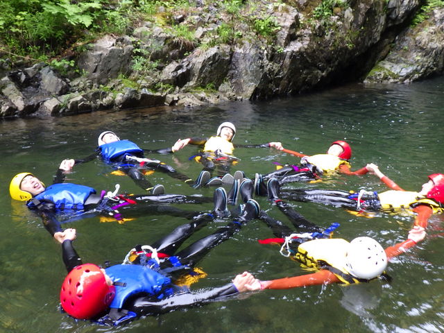 �t�B�[���h�A�[�X����