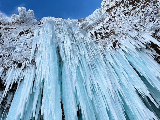 YAMAGATA EXPERIENCE(���}�K�^ �G�N�X�y���G���X)