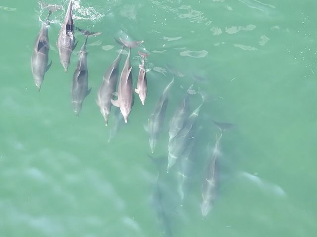 �c�������������@�r��������