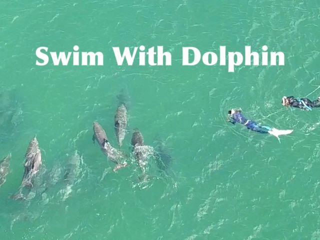 �c�������������@�r��������