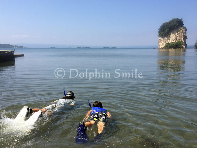 �c�������������@�r��������