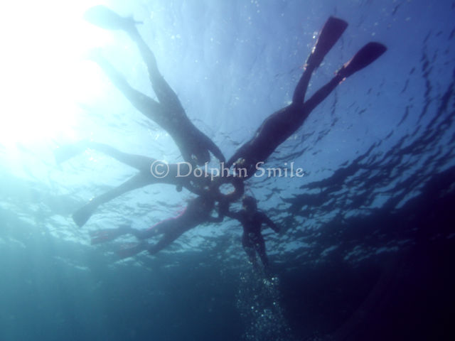 �c�������������@�r��������