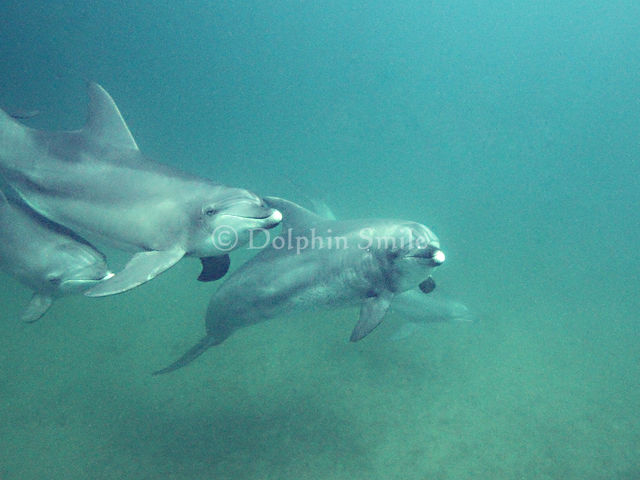 �c�������������@�r��������