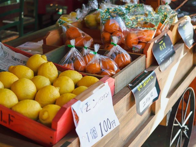 ���̎��X�y�C�����@���c�_��