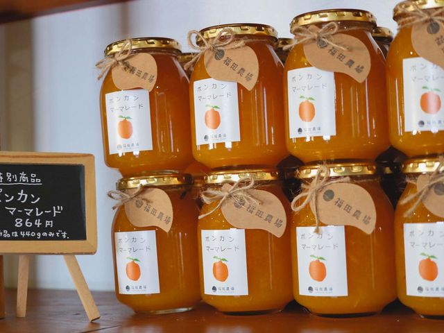 ���̎��X�y�C�����@���c�_��