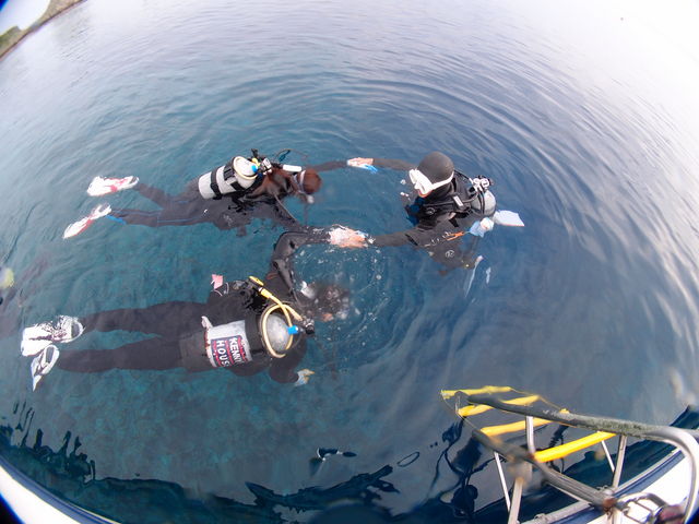 ���K�͒S���C���X�g���N�^�[�����q�l�̃y�[�X��_Diving�@Shop Lei�i�_�C�r���O�V���b�v���C�j