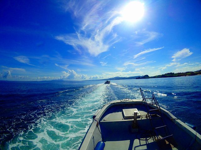 �̓��A�{�[�g�V���m�[�P�����O_�}�������W���[�n�C�T�C�h