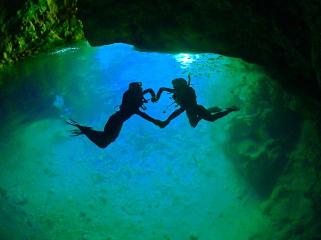 �̓��A�{�[�g�V���m�[�P�����O_�}�������W���[�n�C�T�C�h