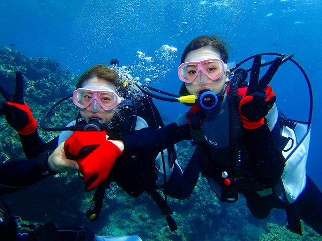 �̓��A�{�[�g�̌��_�C�r���O_�}�������W���[�n�C�T�C�h