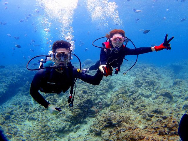 �̓��A�{�[�g�̌��_�C�r���O_�}�������W���[�n�C�T�C�h