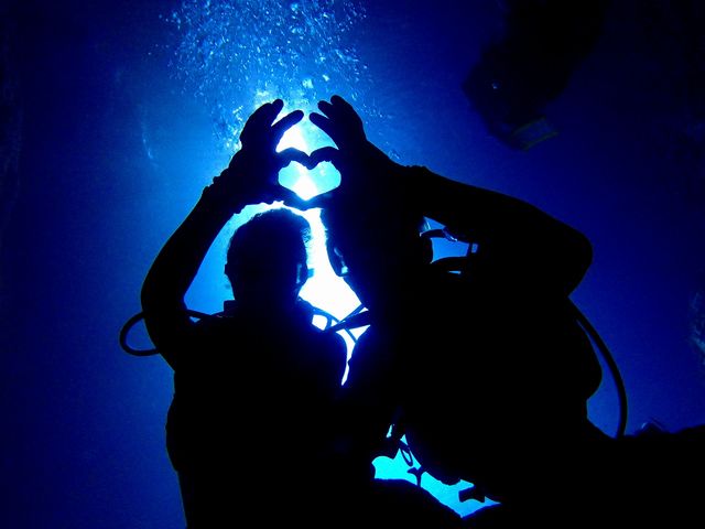 �̓��A�{�[�g�̌��_�C�r���O_�}�������W���[�n�C�T�C�h