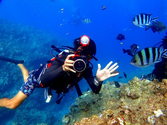 �̓��A�{�[�g�̌��_�C�r���O_�}�������W���[�n�C�T�C�h