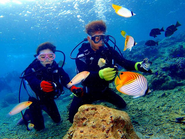 �̓��A�{�[�g�̌��_�C�r���O_�}�������W���[�n�C�T�C�h