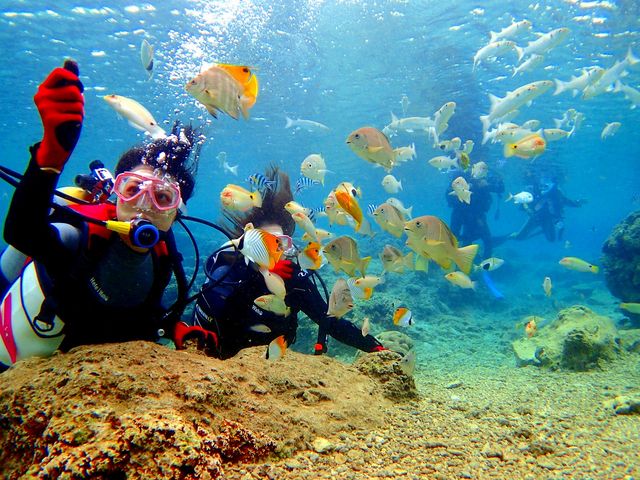 �̓��A�{�[�g�̌��_�C�r���O_�}�������W���[�n�C�T�C�h