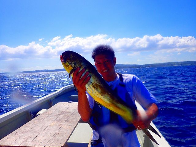 �啨�_���p���I�g���[�����O_�}�������W���[�n�C�T�C�h