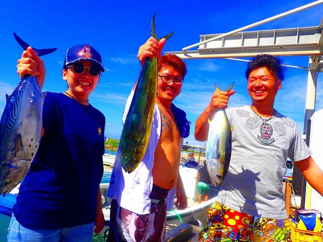 �啨�_���p���I�g���[�����O_�}�������W���[�n�C�T�C�h