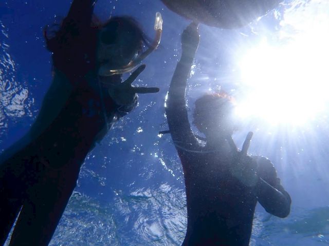 �s���A���n�@�_�C�r���O�T�[�r�X