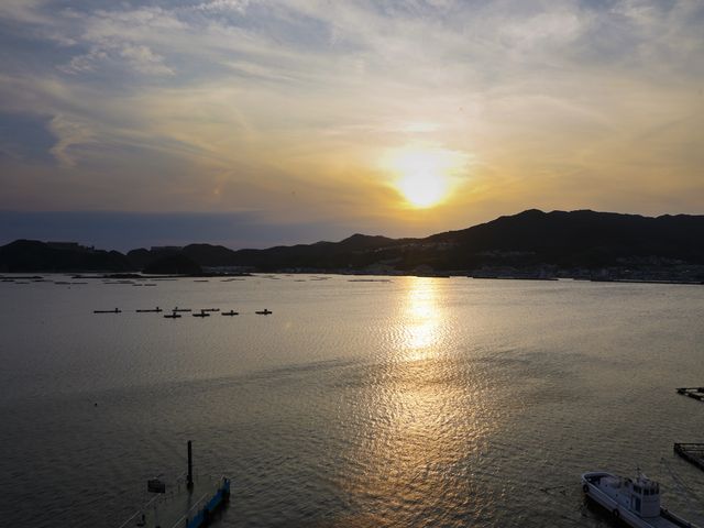 �W�H���C��z�e��