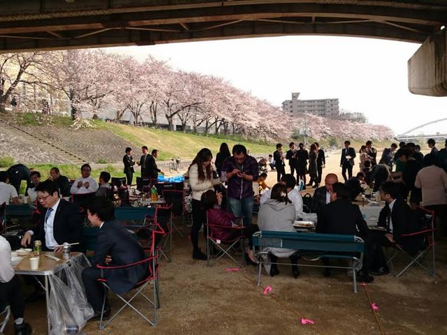 �o���o�[�x�L���[�������R