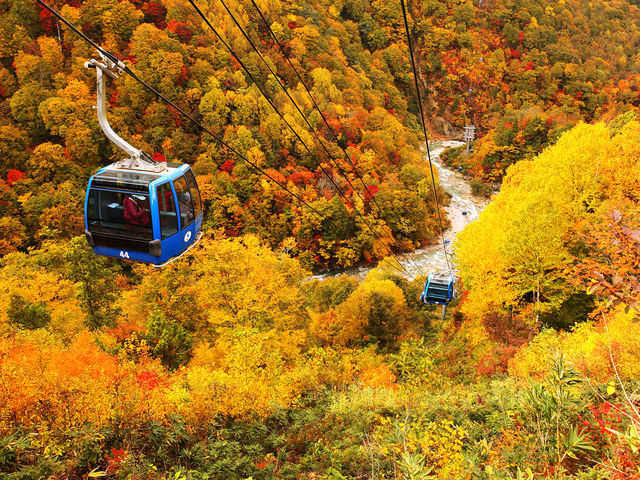 �g�t�̕c��h���S���h��_�c��v�����X�z�e��