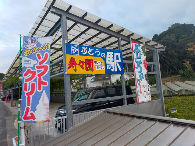 ���X���O���[�v�K�[�f��