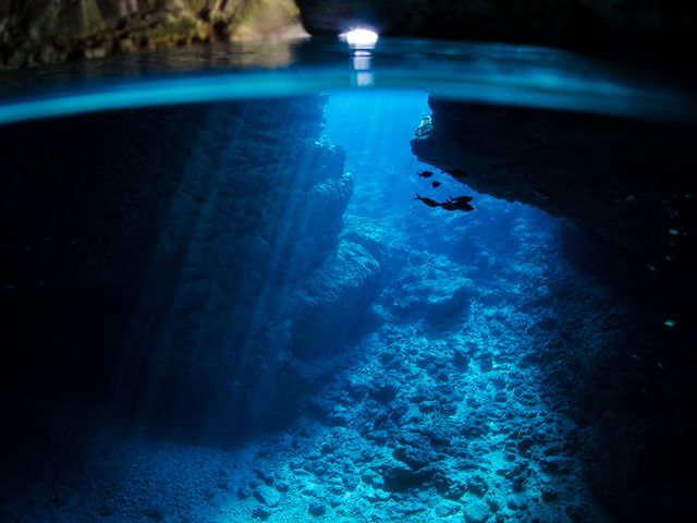 �̓��A�̍ō��ɐ��񂾃u���[�̐��E��������A������邱�ƊԈႢ�Ȃ��I_�A�C�����h��y��