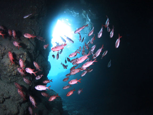 ���q�l�Ɉ��S���ĊC���y����ł����������߁A���S�̑̐��𐮂��Ă��܂��B_�A�C�����h��y��