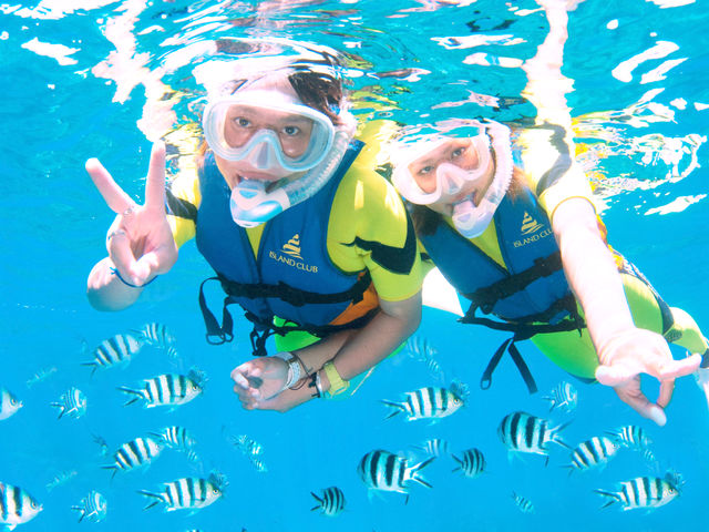 �u���S���Ċy���߂�̌��v�������A�������̂������ł��B_�A�C�����h��y��