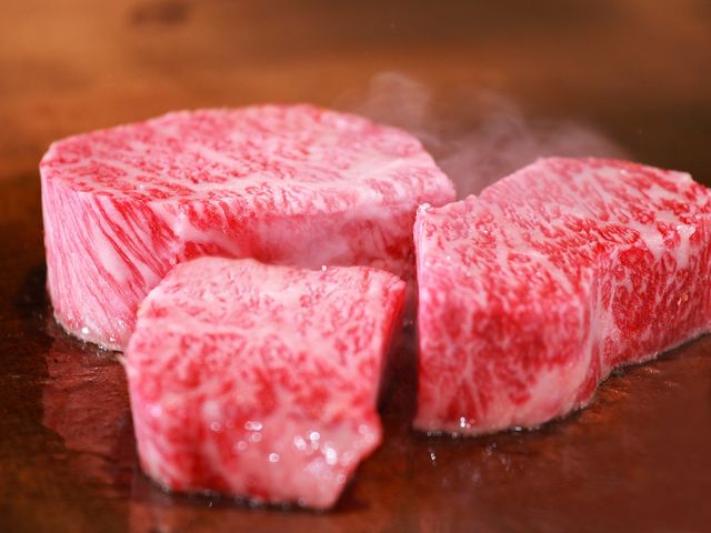 �F���L���b�X���@���]�[�g���X�p