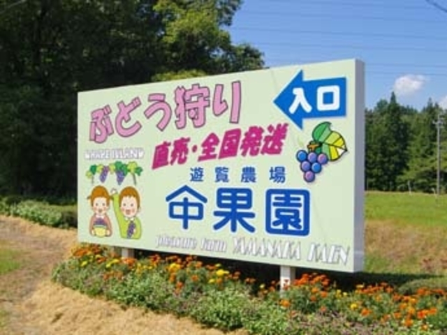 �V���_��@���}�i�J�ʉ�