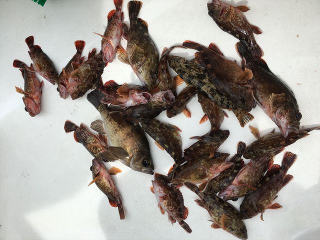 �ނ�D����`��������