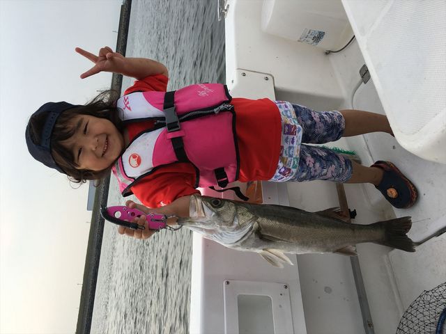 �ނ�D����`��������