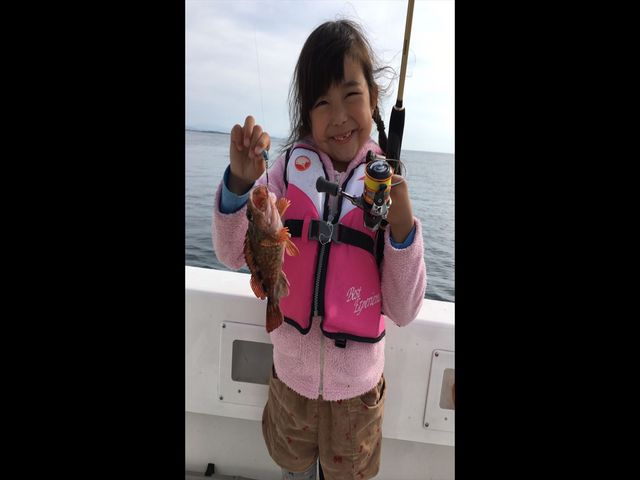 �ނ�D����`��������