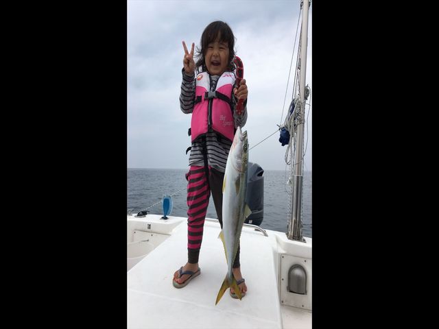 �ނ�D����`��������