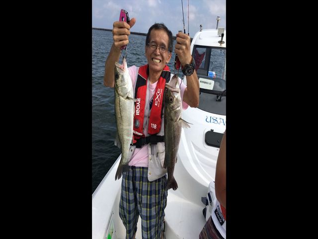 �ނ�D����`��������