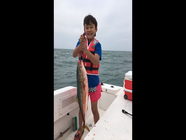 �ނ�D����`��������