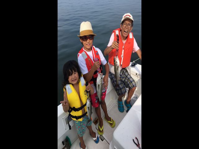 �ނ�D����`��������