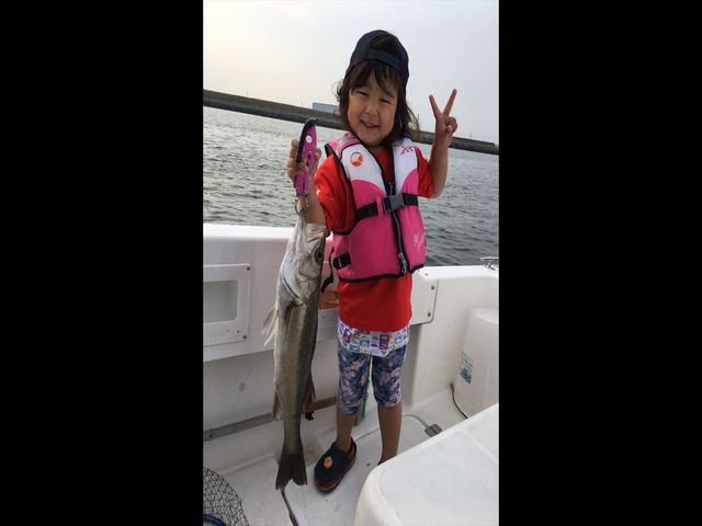 �ނ�D����`��������