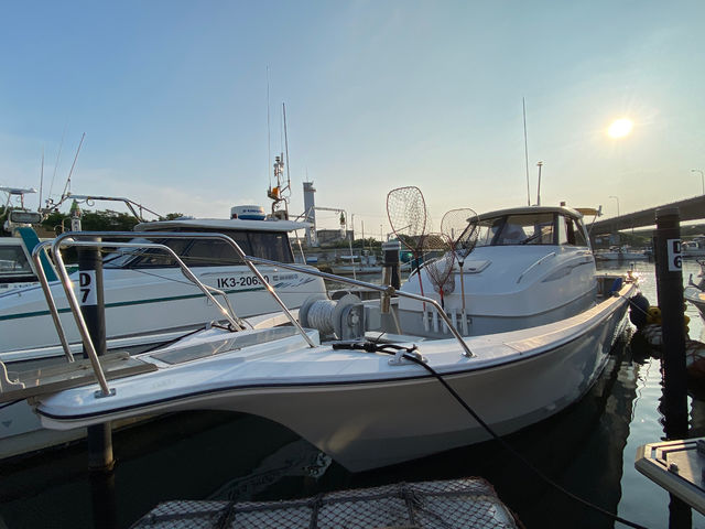 �ނ�D����`��������