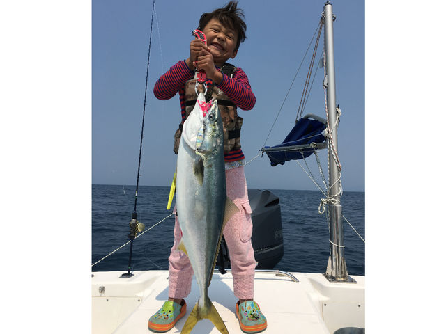 �ނ�D ����`��������
