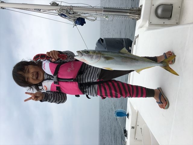 �ނ�D����`��������