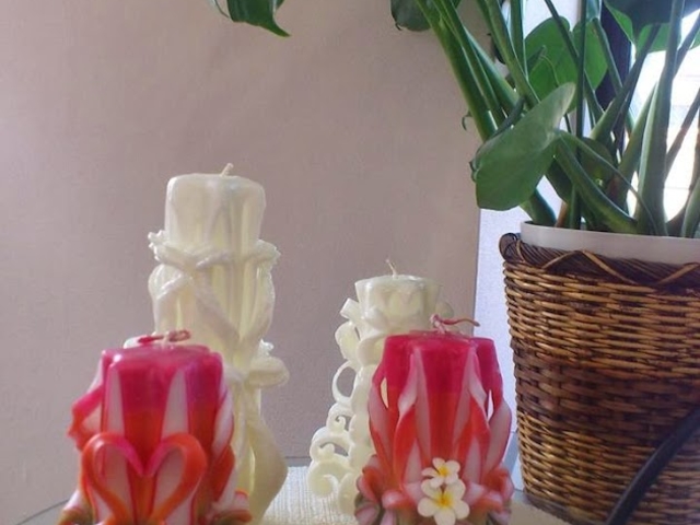 �n���C�A���L�����h���@Punana�̎ʐ^1