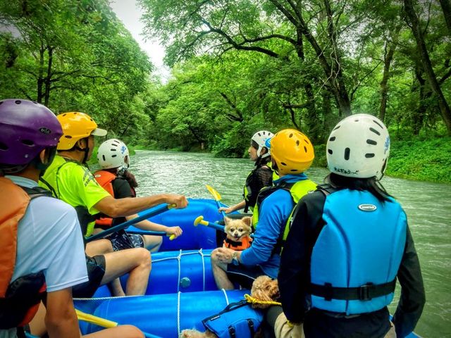 �r���A����̓W�����O���N���[�Y�ւƕς���āE�E�E�B_��񂾂��@�������@�l�C�`���[�����N���G�[�V�����Y