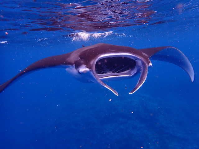 �}���^���ڂ̑O�ɁI_��ʓ��_�C�u�T�C�g