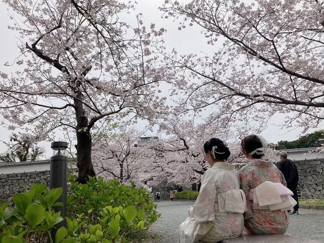 La panier�y���p�j�G�z���������^��