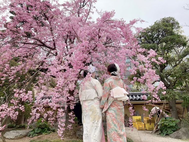 La panier�y���p�j�G�z���������^��