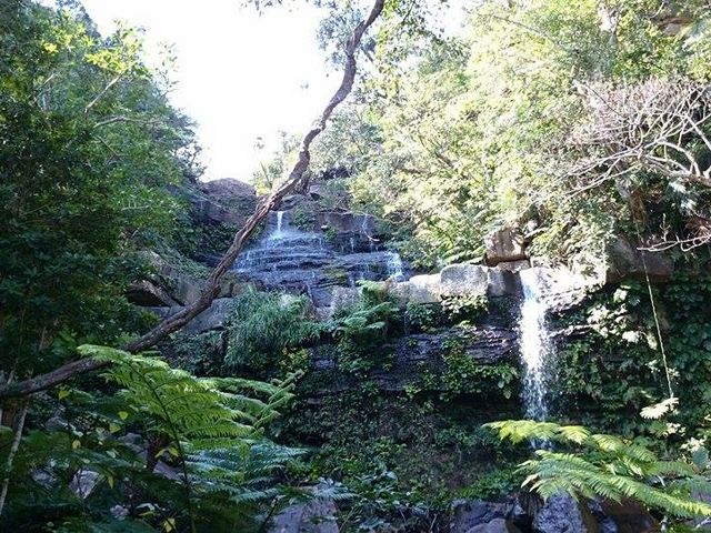 ���\���J�k�[�c�A�[�ē��O�q�]