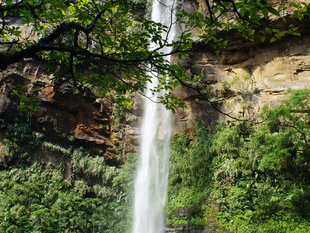 ���ꌧ�����i���o�[�����I�s�i�C�T�[���̑��_���\���J�k�[�c�A�[�ē��O�q�]